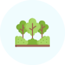 forest.png